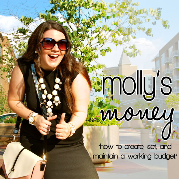 molly's money: how to create, set, and MAINTAIN a working budget