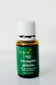 Eucalyptus Globulus Young Living Essential Oil http://bit.ly/MollyYLEO