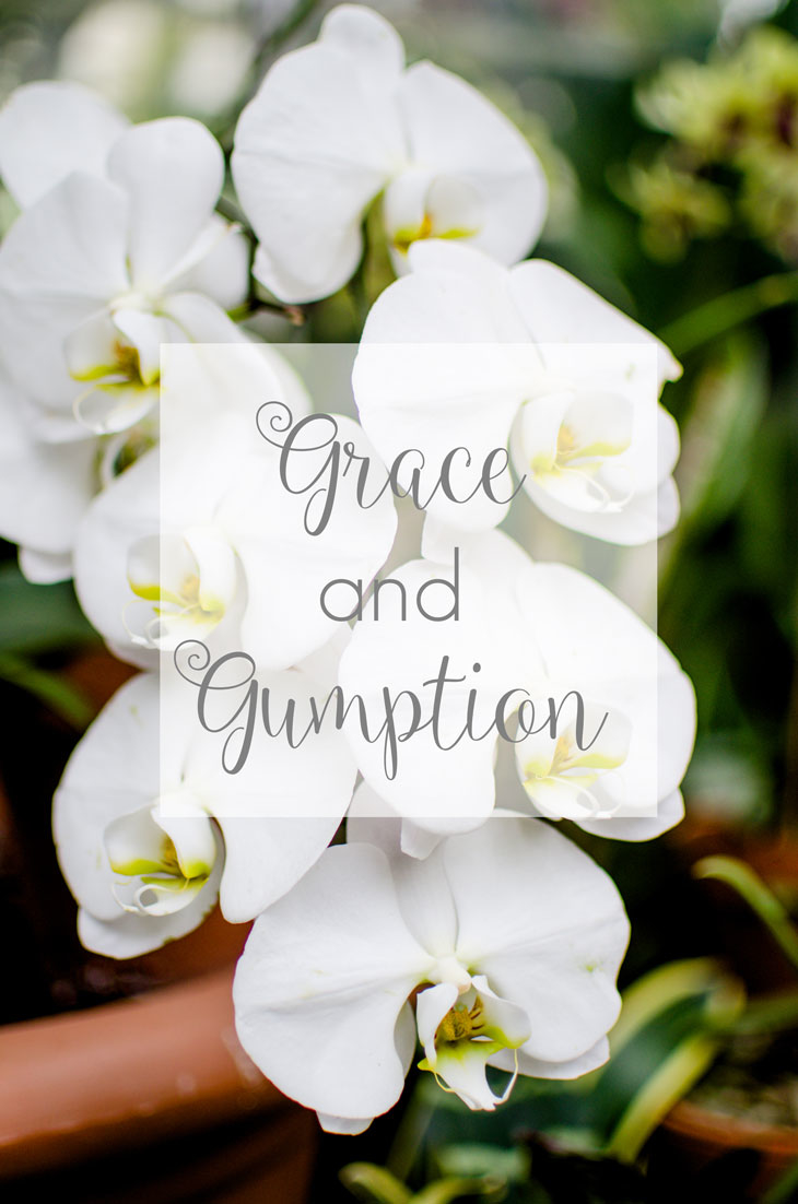 Real Thoughts on Grace and Gumption