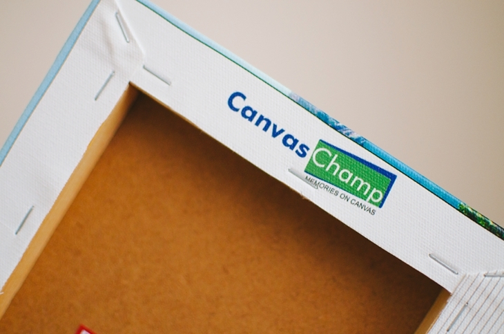 Canvas Champ Review by lifestyle blogger Still Being Molly
