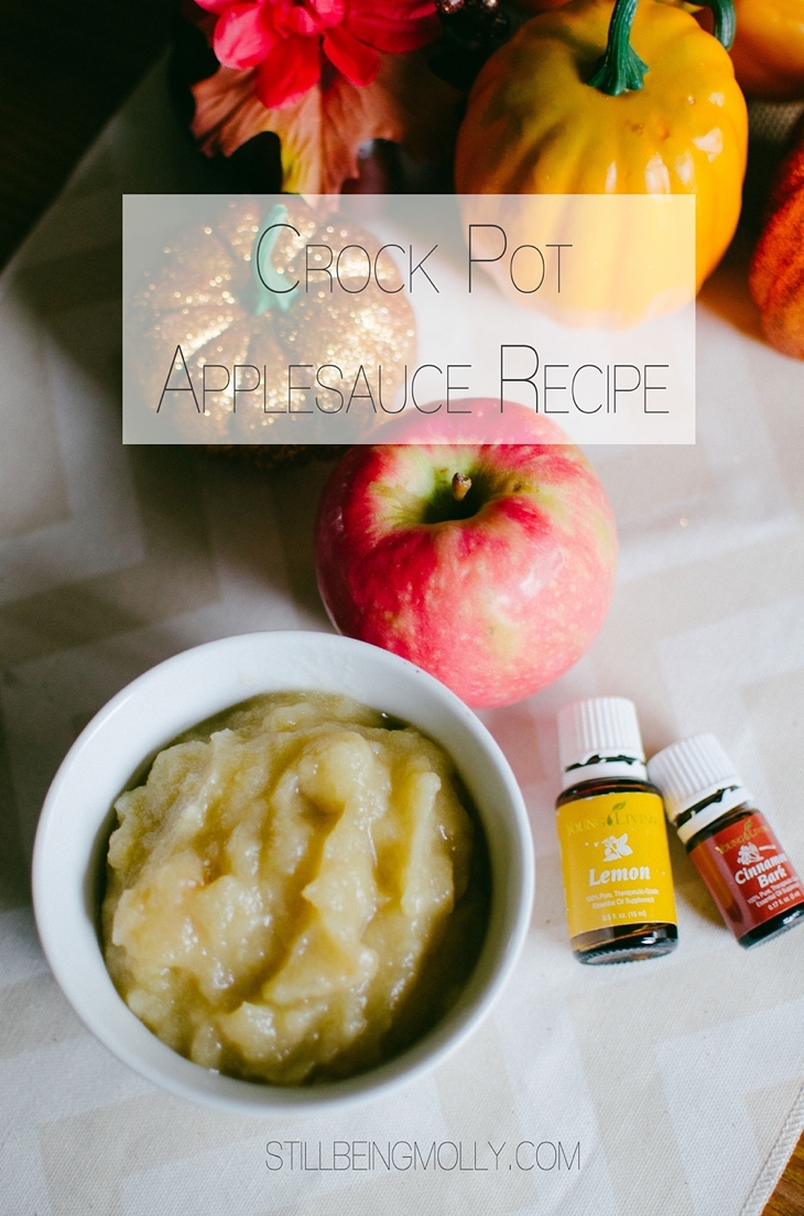 The Easiest (and most delicious) Homemade Crock Pot Applesauce Recipe Ever with Cinnamon Bark and Lemon Essential Oils