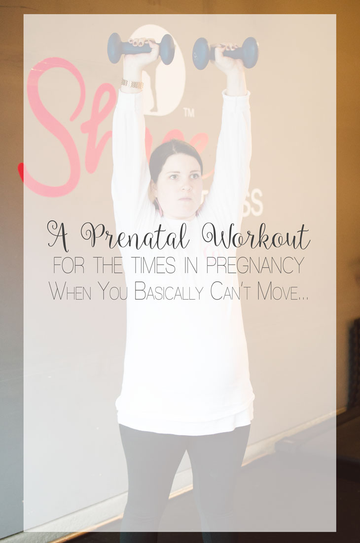 A Prenatal Workout for the "Nearly-Immobile" Pregnant Woman (or the times when you just can't move...) | Fitness Friday (10)