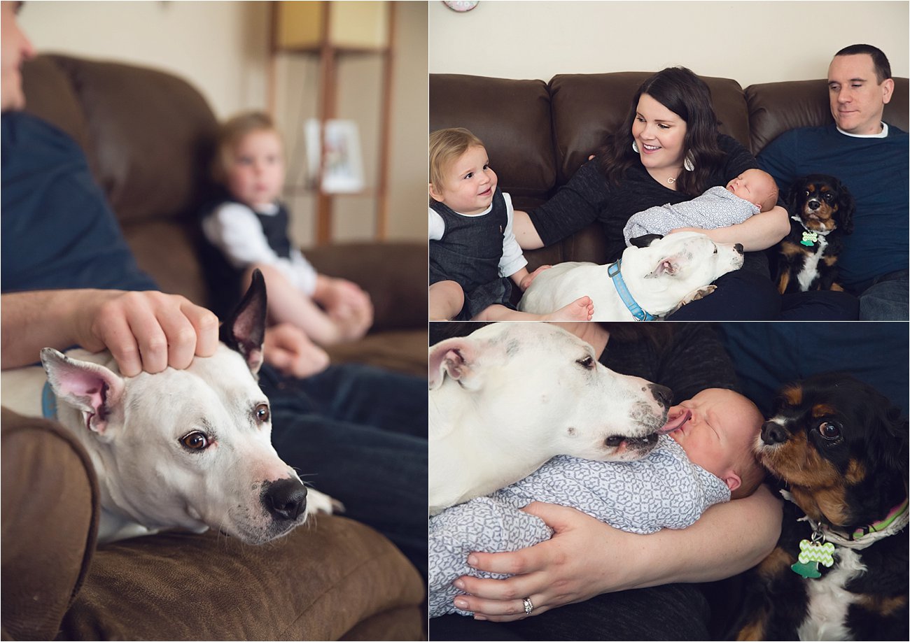 Amos's Newborn and Family Photos | Raleigh / Durham Newborn and Family Photography | (C) 2016 Rebecca Keller Photography (57)