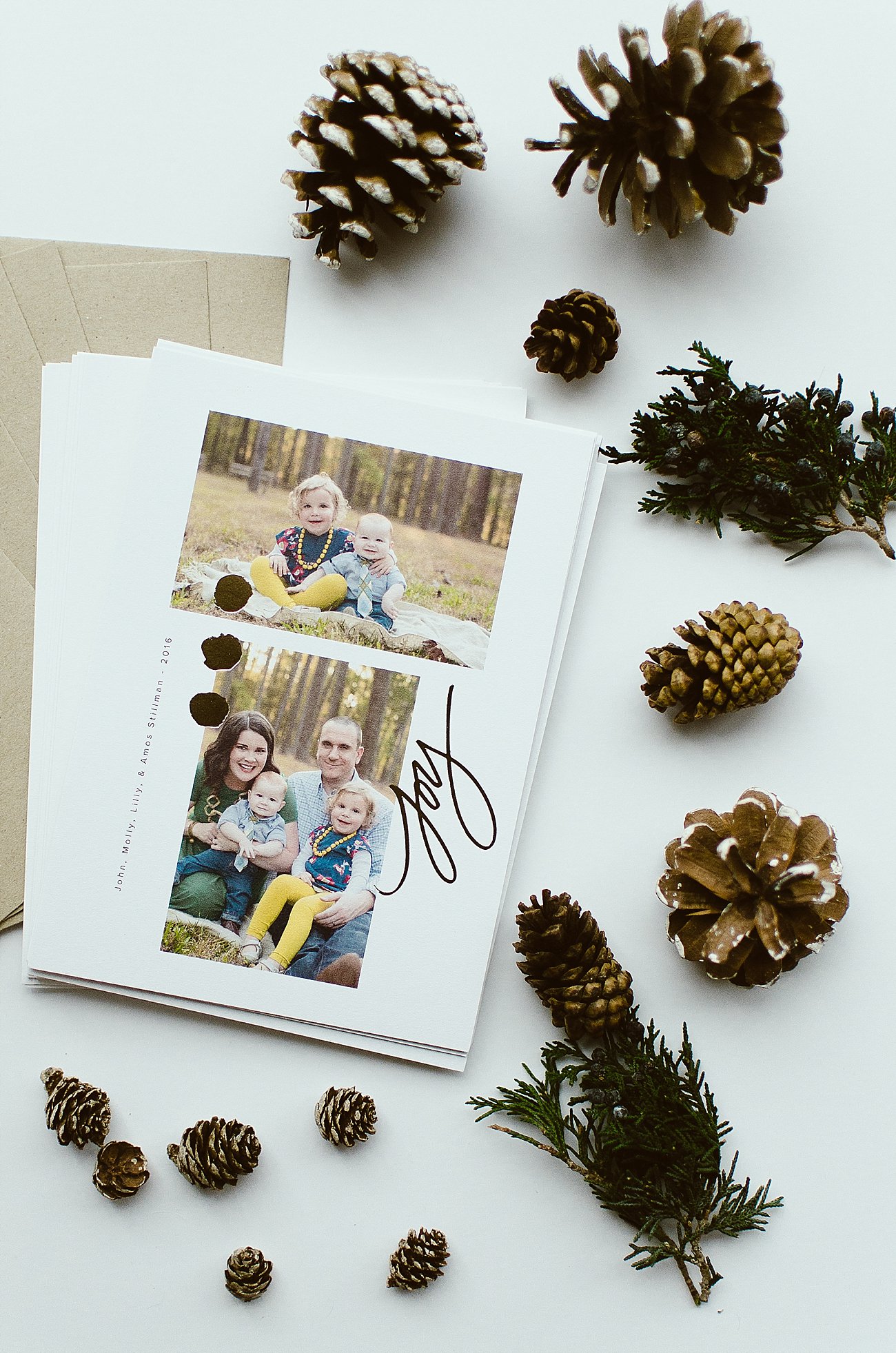 Our 2016 Family Pictures and our Artifact Uprising Christmas Cards (19)