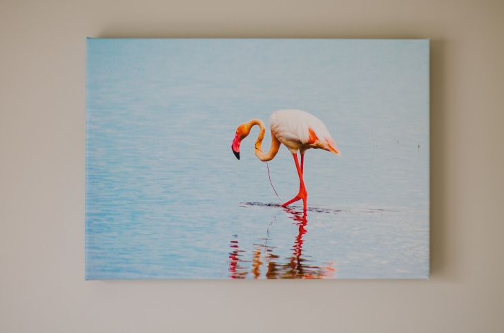 MyPix2 $100 Photo on Canvas Giveaway (1)