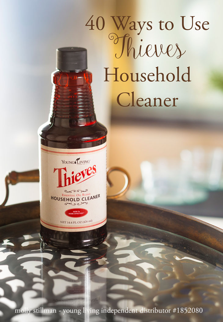 40 Uses For Thieves Cleaner Essential Oils Still Being Molly