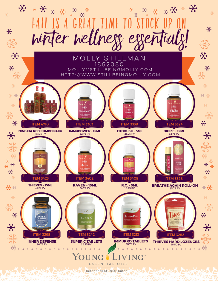 Winter-Wellness-Flyer