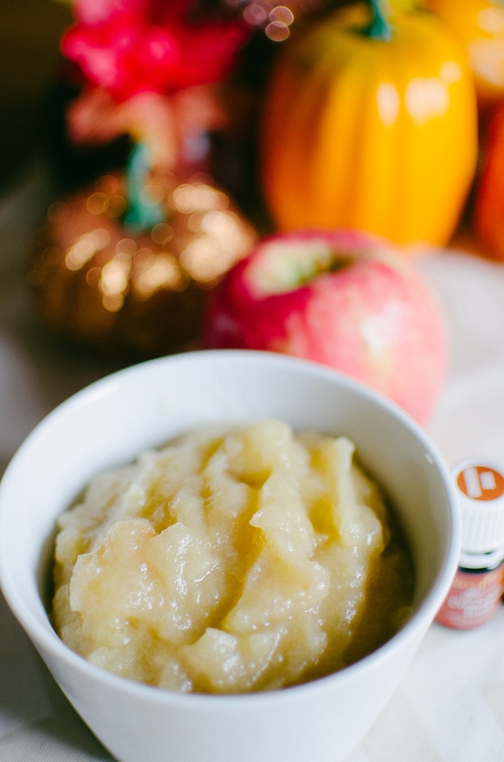 The Easiest (and most delicious) Homemade Crock Pot Applesauce Recipe