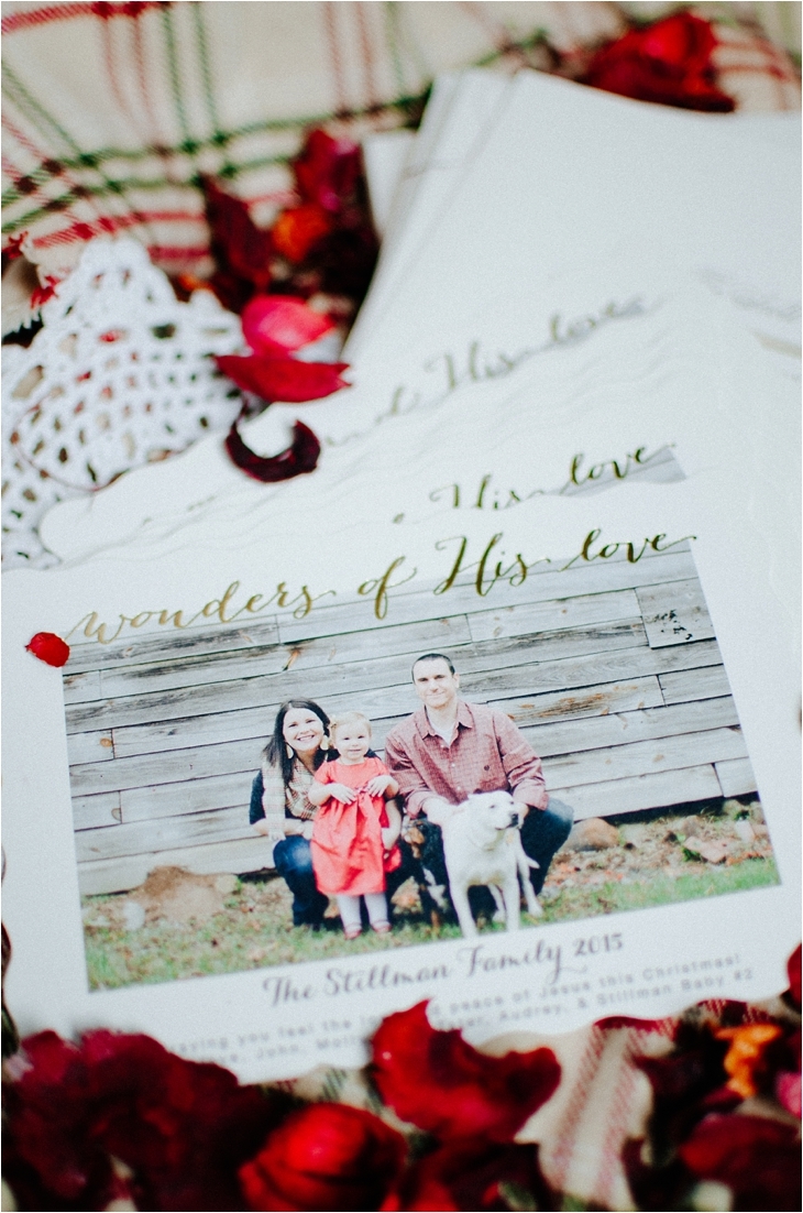 Our 2015 Christmas Cards & a $250 Minted.com Giveaway! (2)