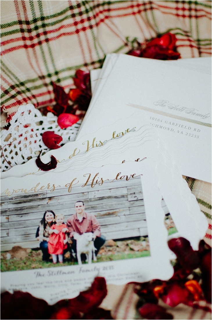 Our 2015 Christmas Cards & a $250 Minted.com Giveaway! (6)