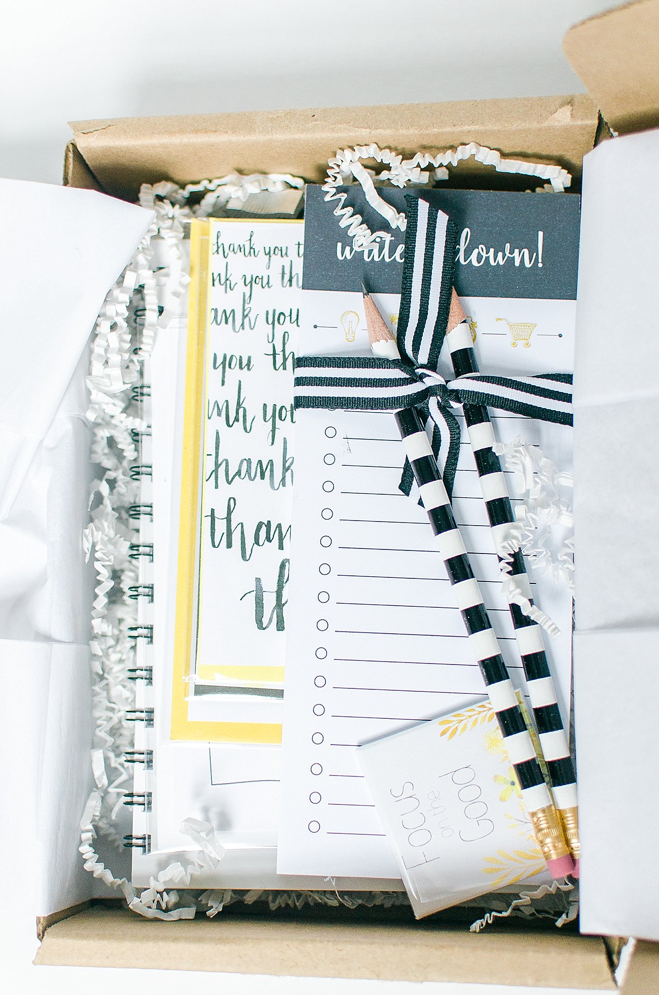 The Subscription Box for All You Paper & Stationary Lovers | V. Paperie Review (6)