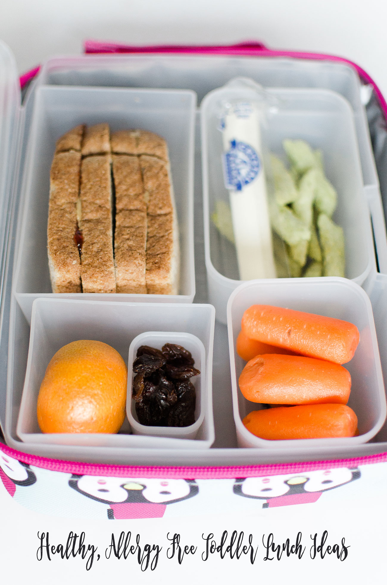 Healthy Toddler Lunch Ideas (Nut Allergy Free!) with Relay Foods (12)