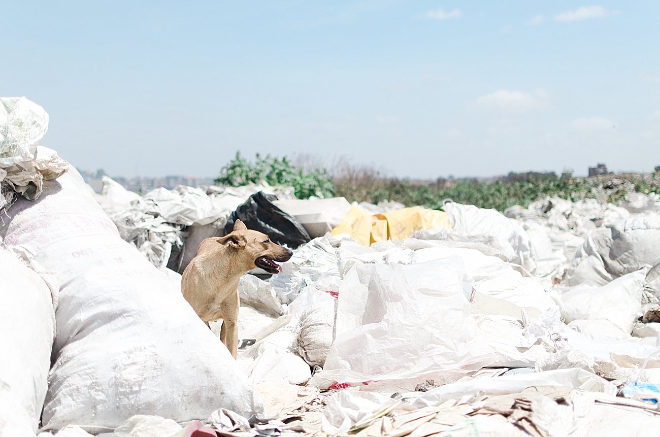 Nairobi, Kenya landfill - January 2017 (3)
