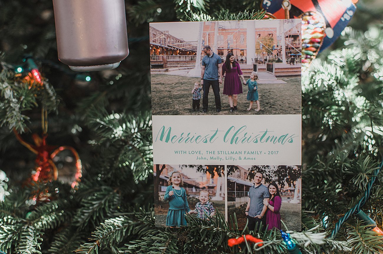 Family Christmas Cards with Minted Holidays Still Being Molly