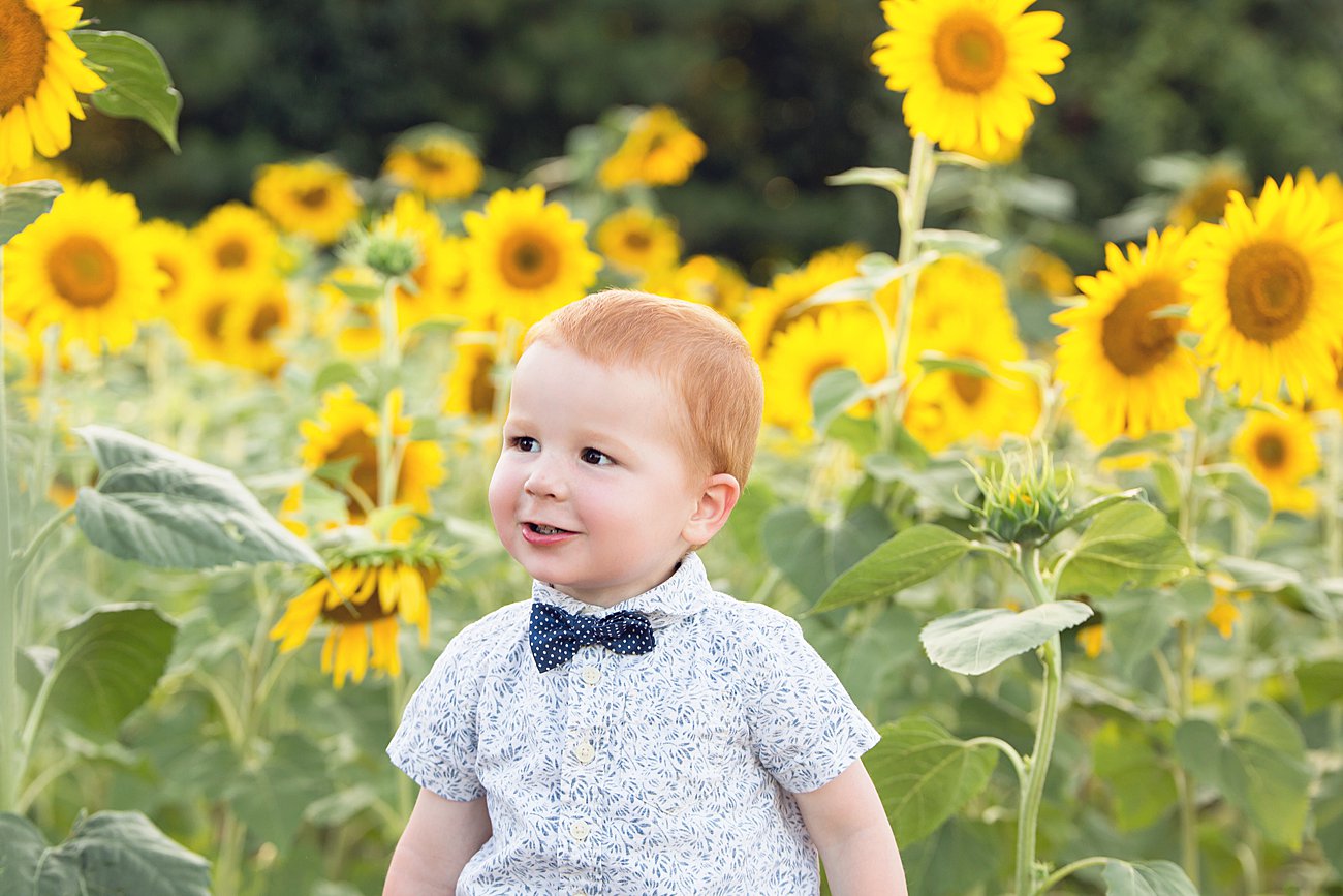 Raleigh, North Carolina Sunflower Field Family Photos (25)