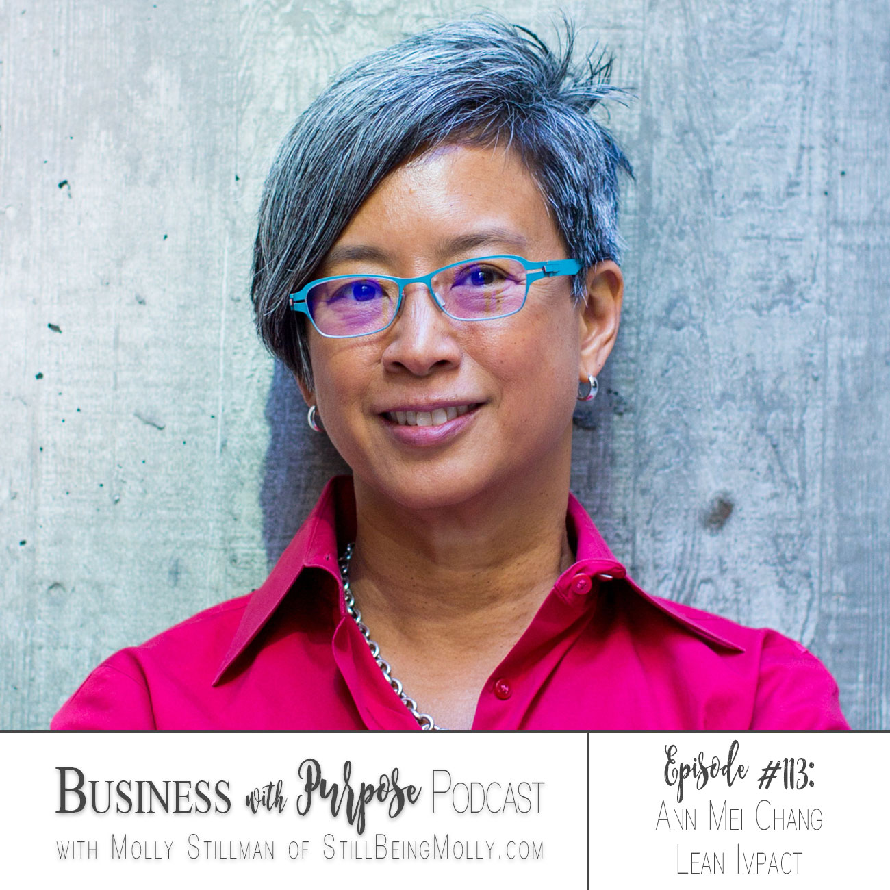 Business with Purpose Podcast EP 113: Ann Mei Chang, Lean Impact
