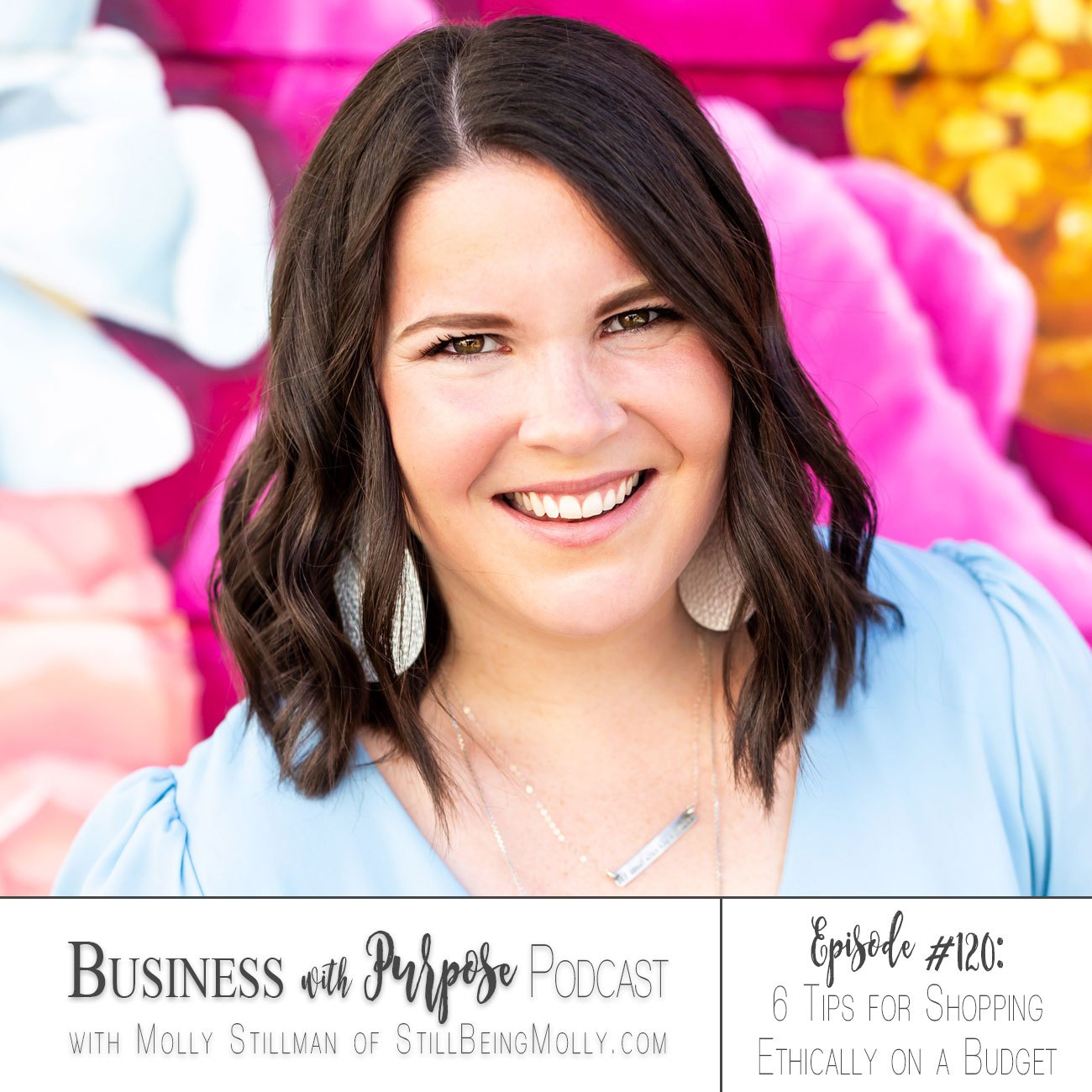 Business with Purpose Podcast EP 120: 6 Tips for Shopping Ethically on a Budget